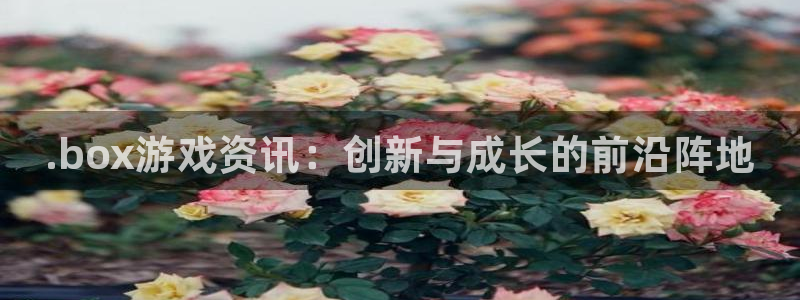 极悦娱乐平台官网入口：.box游戏资讯：创新与成长的前沿阵地