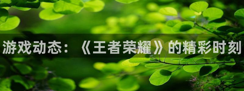 极悦娱乐的意思：游戏动态：《王者荣耀》的精彩时刻