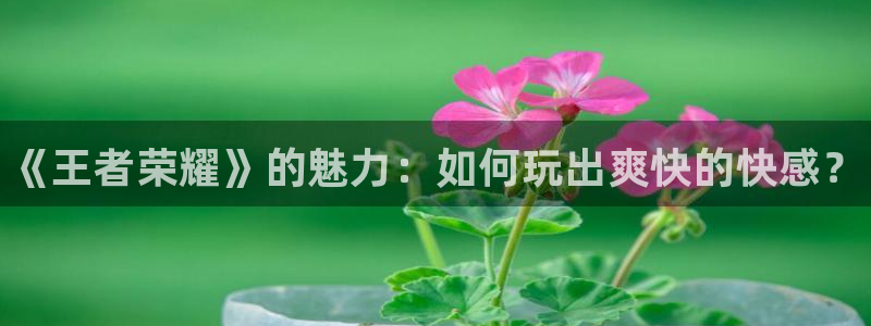 极悦娱乐：《王者荣耀》的魅力：如何玩出爽快的快感？