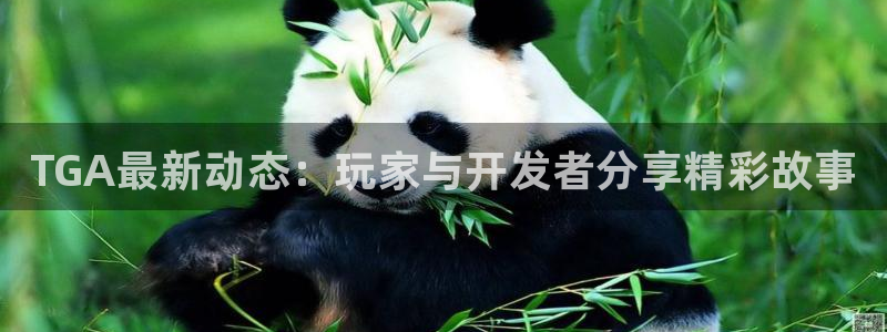 极悦娱乐4主管：TGA最新动态：玩家与开发者分享精彩故事