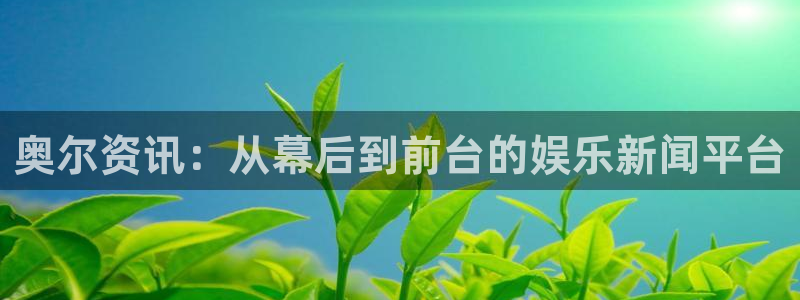 极悦娱乐测速登陆：奥尔资讯：从幕后到前台的娱乐新闻平台
