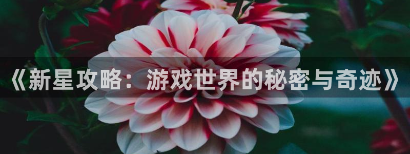 极悦娱乐登录网址：《新星攻略：游戏世界的秘密与奇迹》