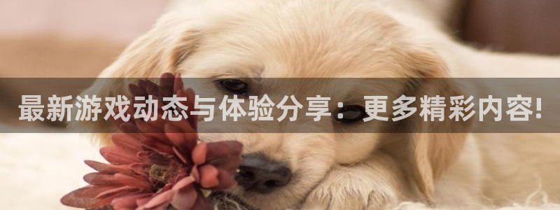 极悦娱乐娱乐：最新游戏动态与体验分享：更多精彩内容!