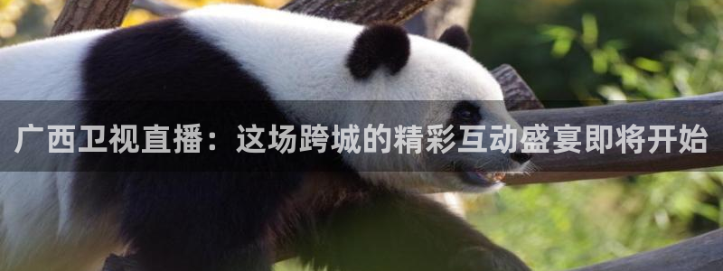 9255tv直播nba在线直播