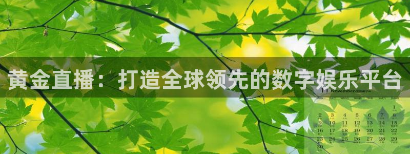 9255tv直播nba在线观看
