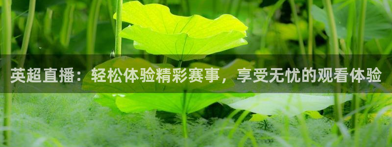 9255tv直播无插件nba
