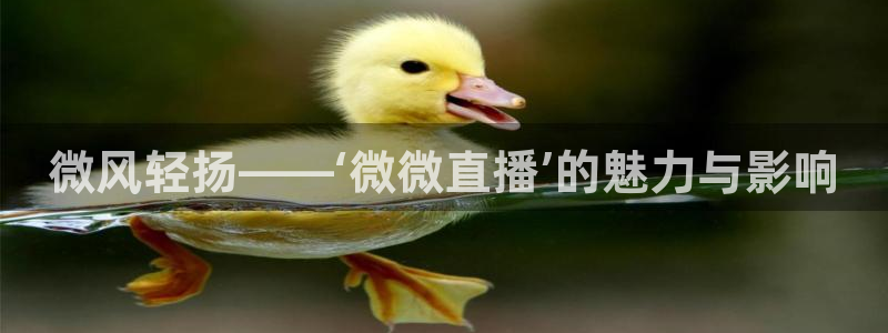 9255tv直播无插件nba
