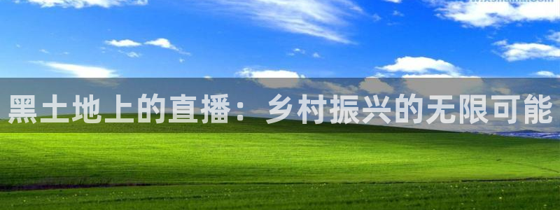 9255tv直播无插件nba：黑土地上的直播：乡村振兴的无限可能