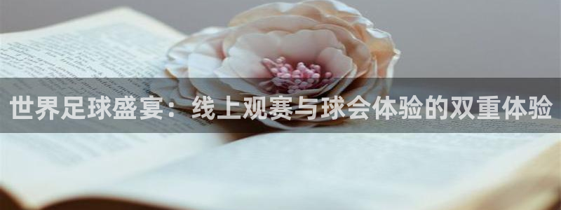 9255tv直播无插件nba：世界足球盛宴：线上观赛与球会体验的双重体验