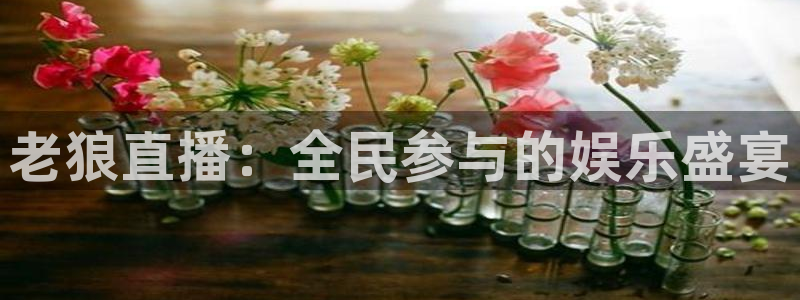 9255tv直播nba在线观看：老狼直播：全民参与的娱乐盛宴